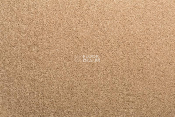 Ковролин Condor Imperial 91 фото 1 | FLOORDEALER